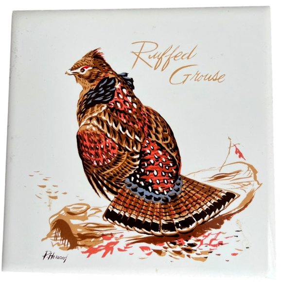 Vtg Screencraft Ruffed Grouse TRIVET / WALL HANGING Cork Back Artist P. Howard - Picture 1 of 7